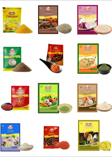 Tonkotsu Ramen-Gewürz / Japanisches Ramen-Gewürzpaket / Tonkotsu Ramen-Suppengewürz