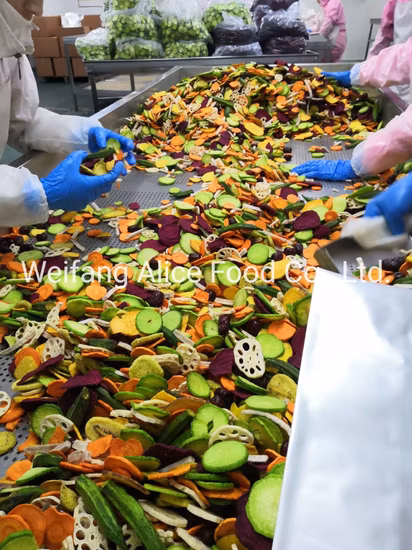 Good Taste Gemüsesnacks, vakuumgebratene Lotuswurzelchips